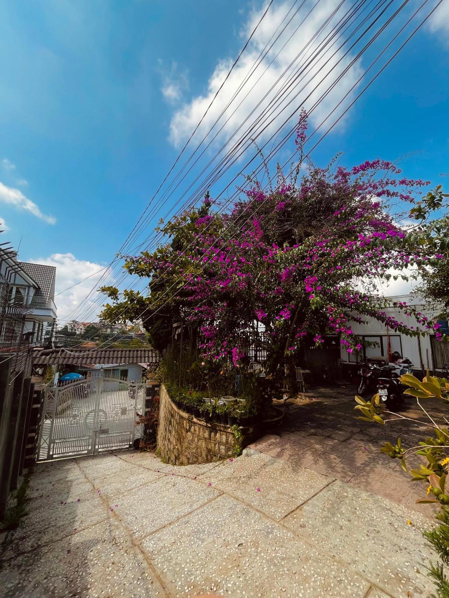 Hat De Homestay Da Lat Exterior foto